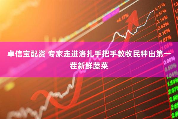 卓信宝配资 专家走进洛扎手把手教牧民种出第一茬新鲜蔬菜