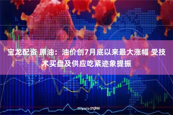 宝龙配资 原油：油价创7月底以来最大涨幅 受技术买盘及供应吃紧迹象提振