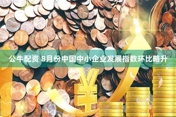 公牛配资 8月份中国中小企业发展指数环比略升