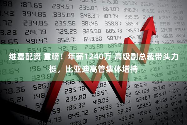 维嘉配资 重磅！年薪1240万 高级副总裁带头力挺，比亚迪高管集体增持