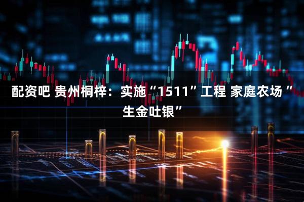 配资吧 贵州桐梓：实施“1511”工程 家庭农场“生金吐银”